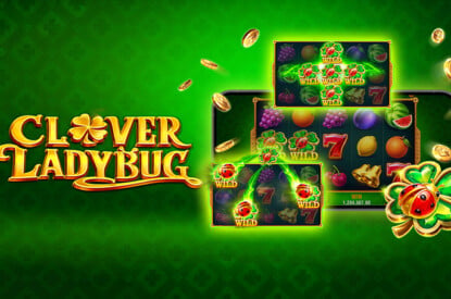 Clover Ladybug